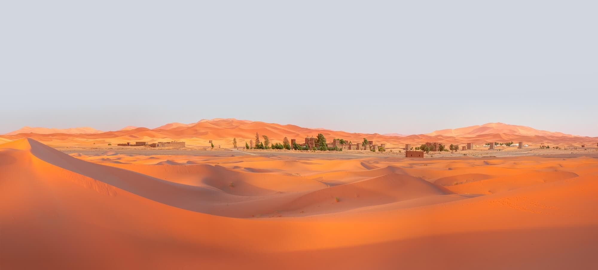 Into the Golden Sahara hero photograph