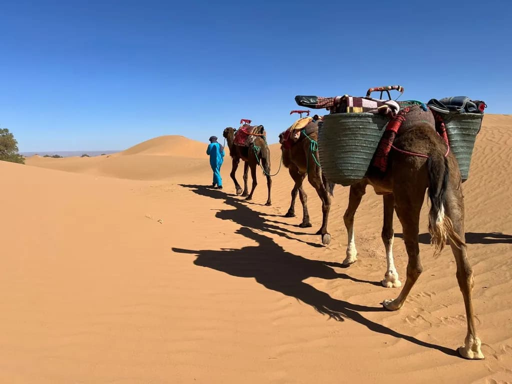 Sahara Hike Day 2- Adventure to Erg Chigaga hero photograph